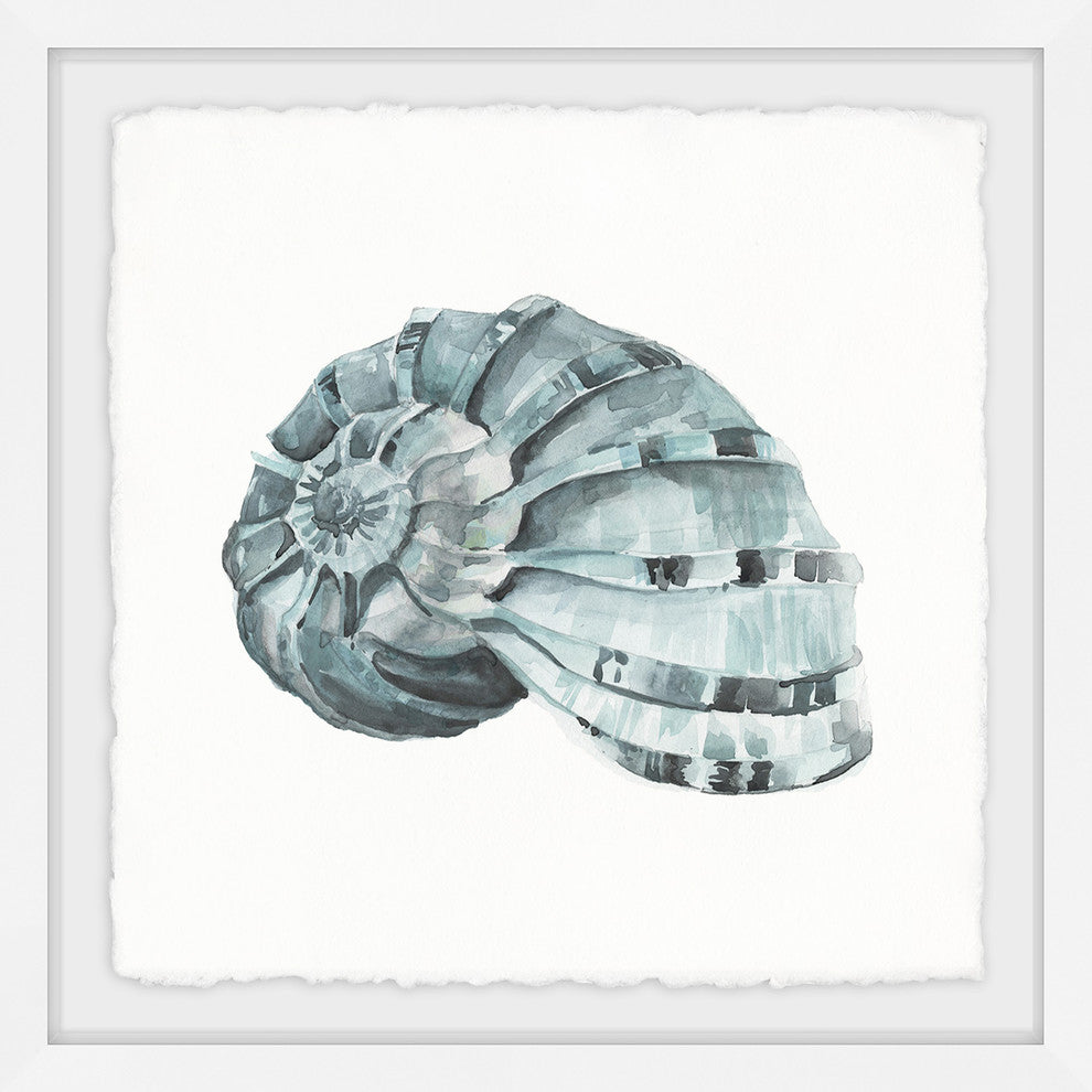 "Classy Shell" Framed Painting Print, 12"x12"