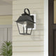 Wentworth 1 Light Charcoal Outdoor Small Wall Lantern