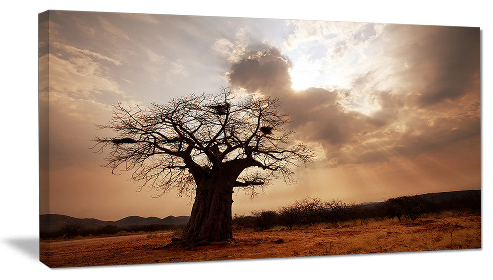 "Large Baobab Tree Under Clouds" Modern Landscape Wall Art Canvas, 32"x16"