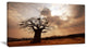 "Large Baobab Tree Under Clouds" Modern Landscape Wall Art Canvas, 32"x16"
