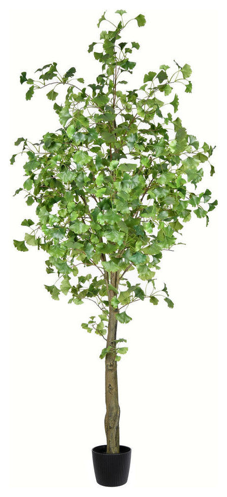 7' Potted Ginko Tree 960 Leaves