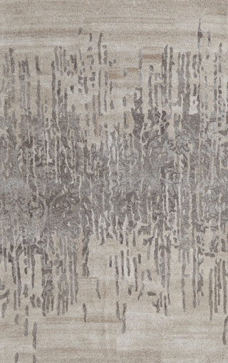 Posh 7803-717 Area Rug, Gray, 4'x6'