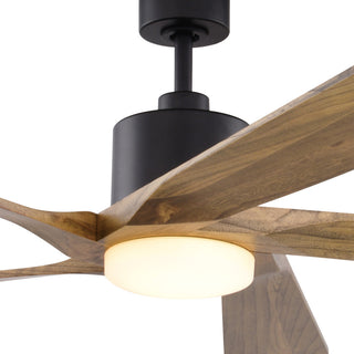 Wedgewood Black Indoor/Outdoor 60" DC Ceiling Fan Light Kit and Remote