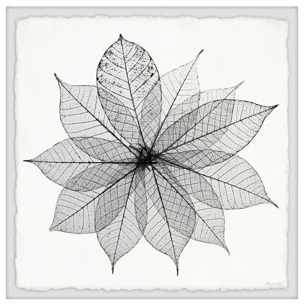 "Leaf Structure" Framed Painting Print, 32x32