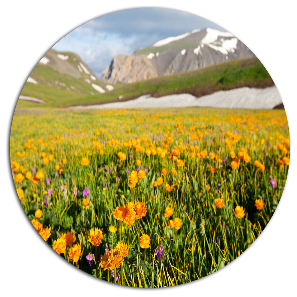 Mountain Plain With Wild Yellow Flowers, Flower Disc Metal Artwork, 23"