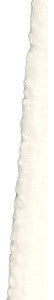 Fall Bounty Floral Print Hand Towel, Brown