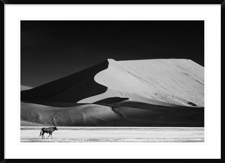 "The Solitary" Framed Digital Print by Mathilde Guillemot, 44x32"