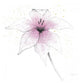"Pink Graphite Flower V" Digital Paper Print by Avery Tillmon, 26"x26"