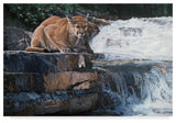Ron Parker 'Summer Creek' Canvas Art, 32"x22"