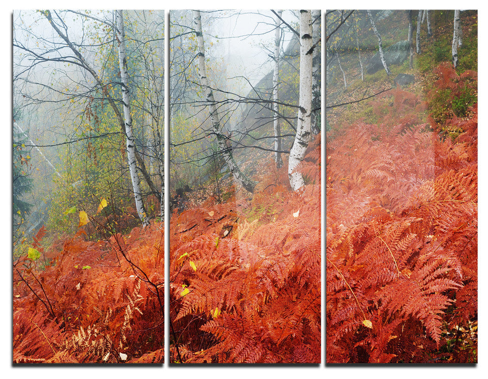 "Red Fern in Foggy Fall Fay" Photo Metal Wall Art, 3 Panels, 36"x28"