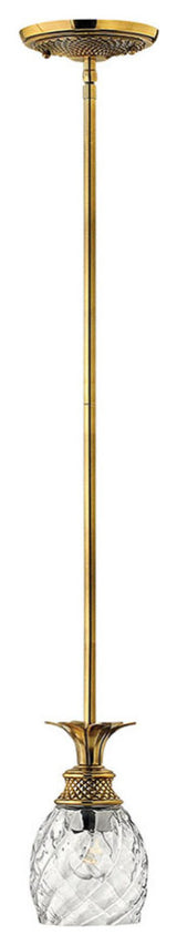 Hinkley Plantation Extra Small Pendant, Burnished Brass