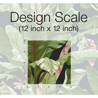 Banana Leaf Wallpaper