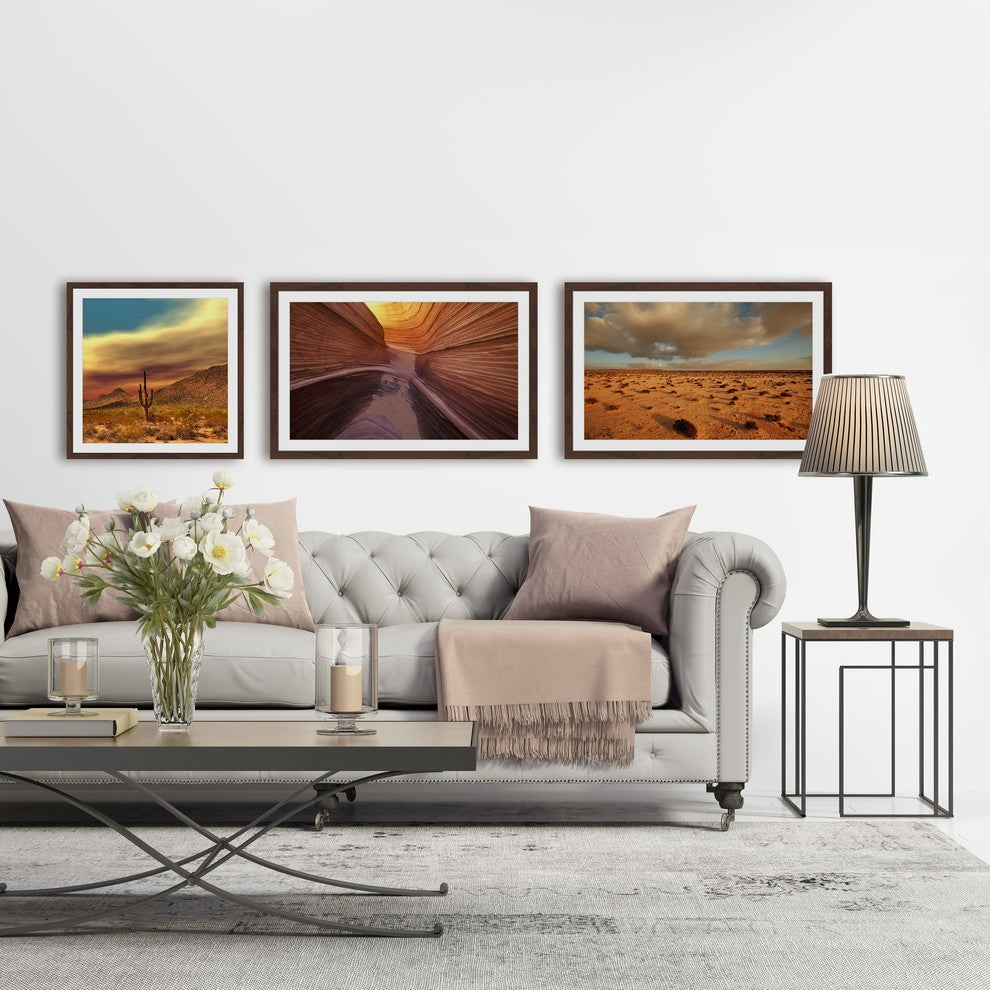 Desert Views Triptych, 48x12