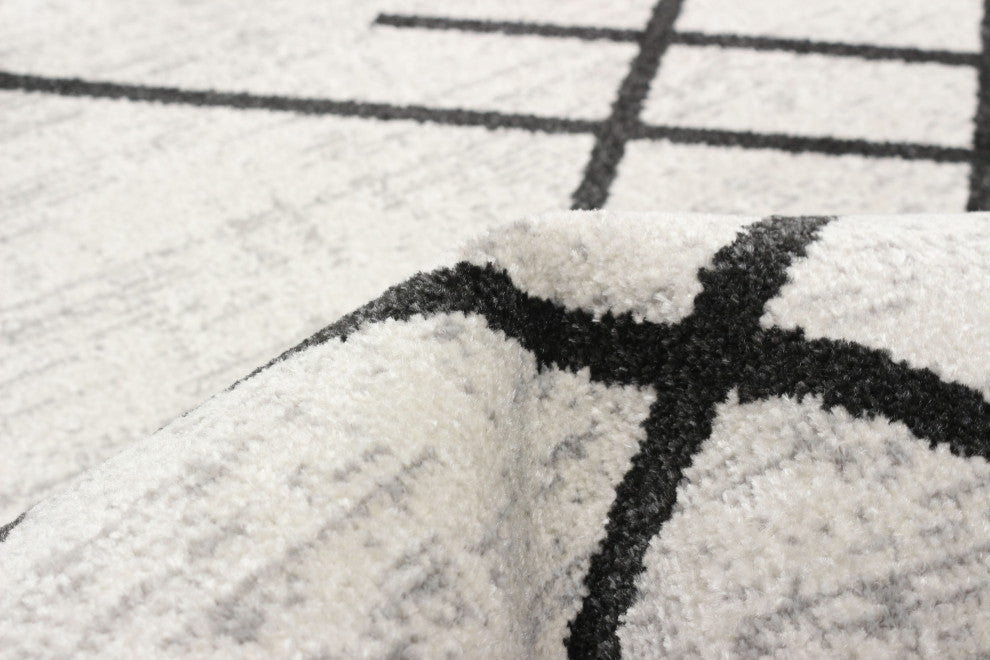 Aqua Damali Area Rug, Ivory/Black, 2'6"x8'