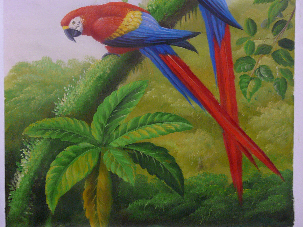 Oil Paint Canvas Art 2 Parrots Wall Decor