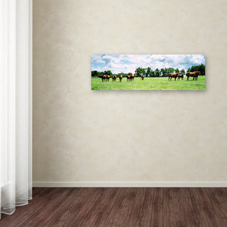 'Kentucky Horse 5' Canvas Art by Preston