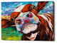 Curious Cow I' by Carolee Vitaletti Giclee Canvas Wall Art, 54"x40"