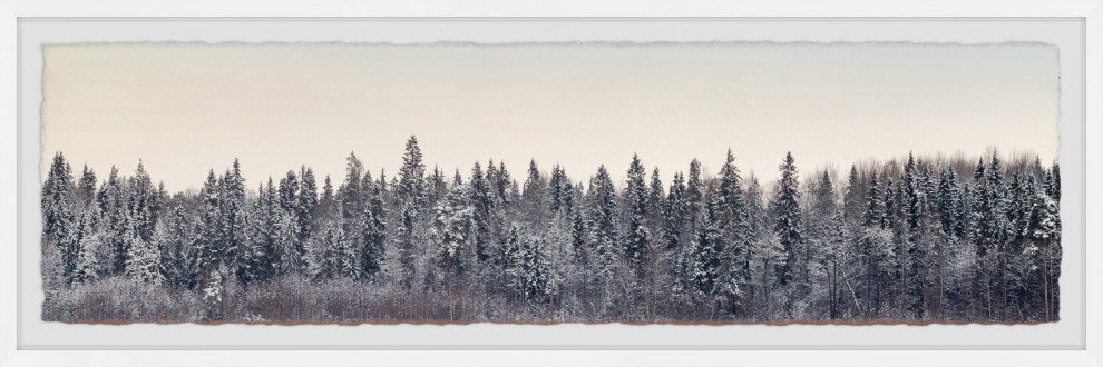 "Beauty of the Trees" Framed Painting Print, 30x10