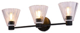 Dalton 25.5" 3-Light Matte Black Bathroom Vanity Fixture, Clear Glass Shade