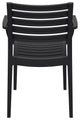 Artemis Outdoor Dining Arm Chair, Set of 2, Black