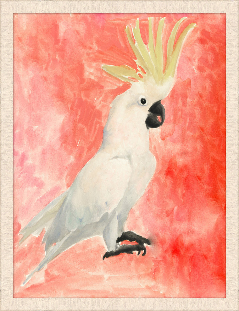 Colorful Cockatoo 1, Giclee Reproduction Artwork