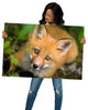 Young Red Fox Face Animal Wildlife Nature Photograph Loose Wall Art Print, 24" X 36"
