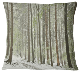 Spring Beech Forest Scenery Landscape Photo Throw Pillow, 16"x16"