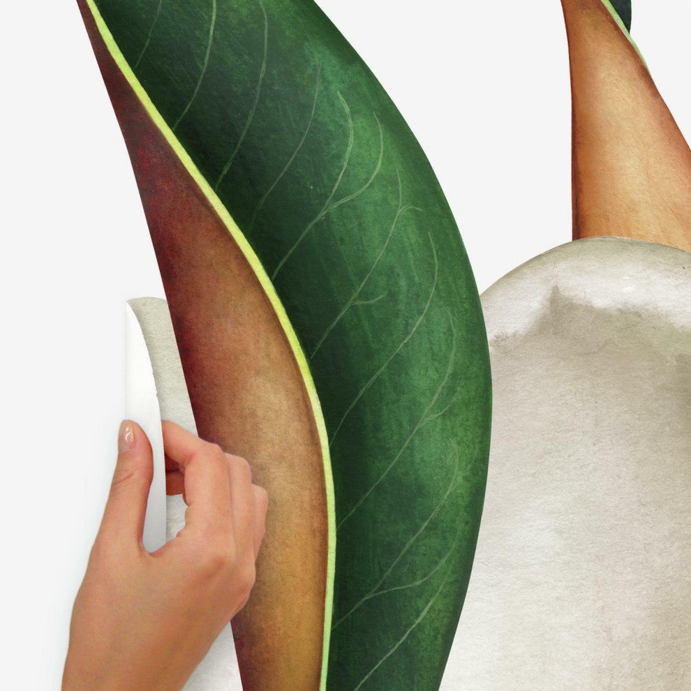 Vintage Magnolia Peel And Stick Giant Wall Decals