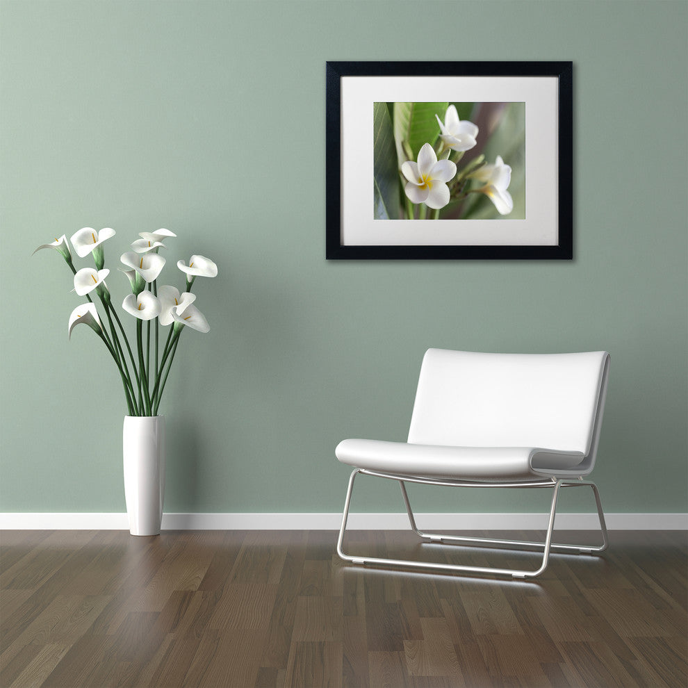 Pierre Leclerc 'Plumeria Bloom' Matted Framed Art, Black Frame, White, 20x16