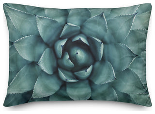 Teal Succulent 14x20 Indoor/Outdoor Pillow
