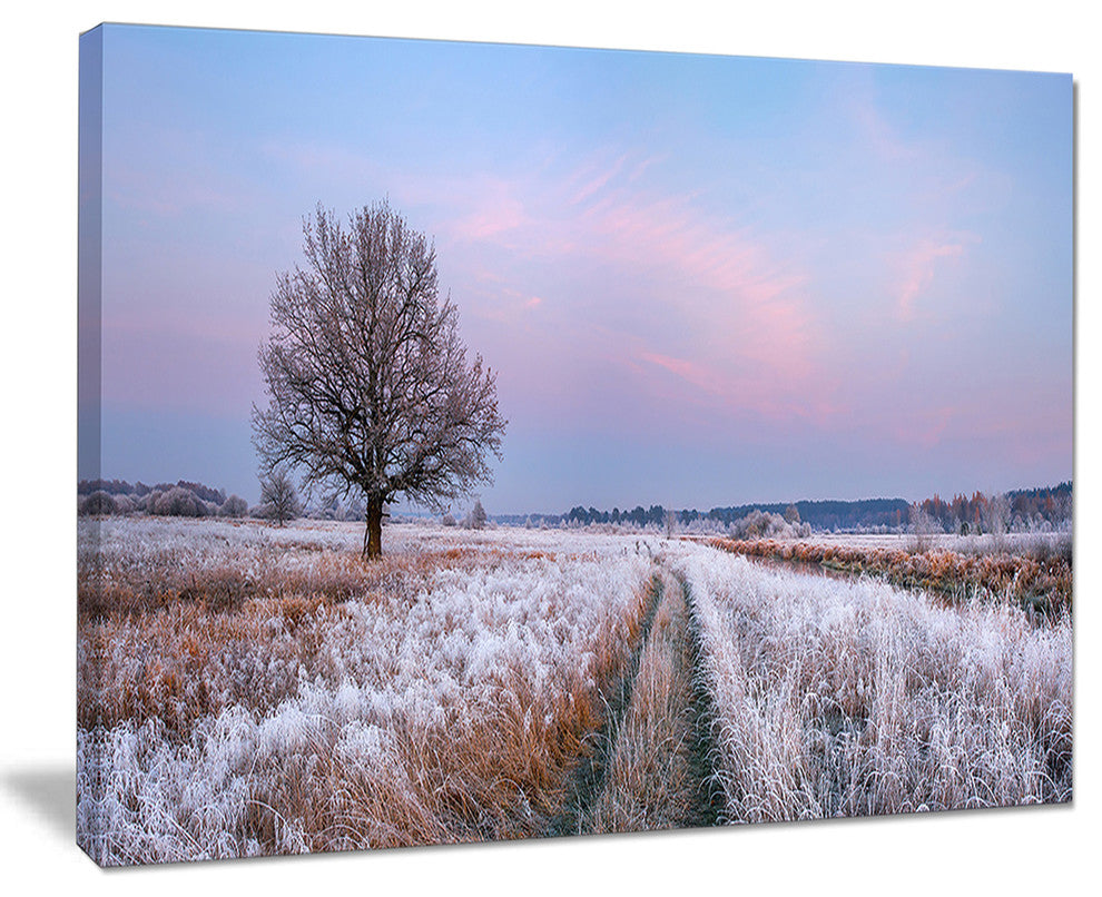 "Dry Oak Tree in Winter Panorama" Landscape Print Wall Art, 20"x12"