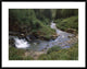La Plata River, La Plata Canyon, San Juan National Forest, Colorado, 38"x30"