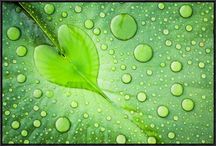"Heart" Framed Canvas Giclee by Patrick Foto, 37x25"