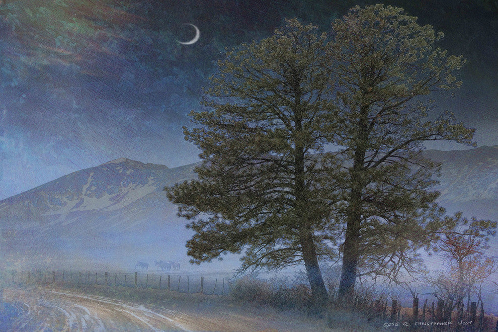 "Road at Cherry Creek" Painting Print on Canvas by Chris Vest
