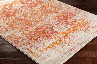Harput Traditional Burnt Orange, Light Gray Area Rug, 3'11"x5'7"