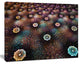 Brown Flowers on Alien Planet, Floral Canvas Art Print, 20"x12"