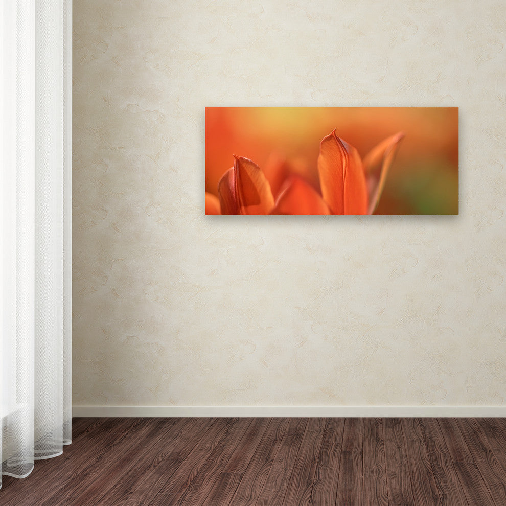 Cora Niele 'Duc van Tol Orange Tulip' Canvas Art