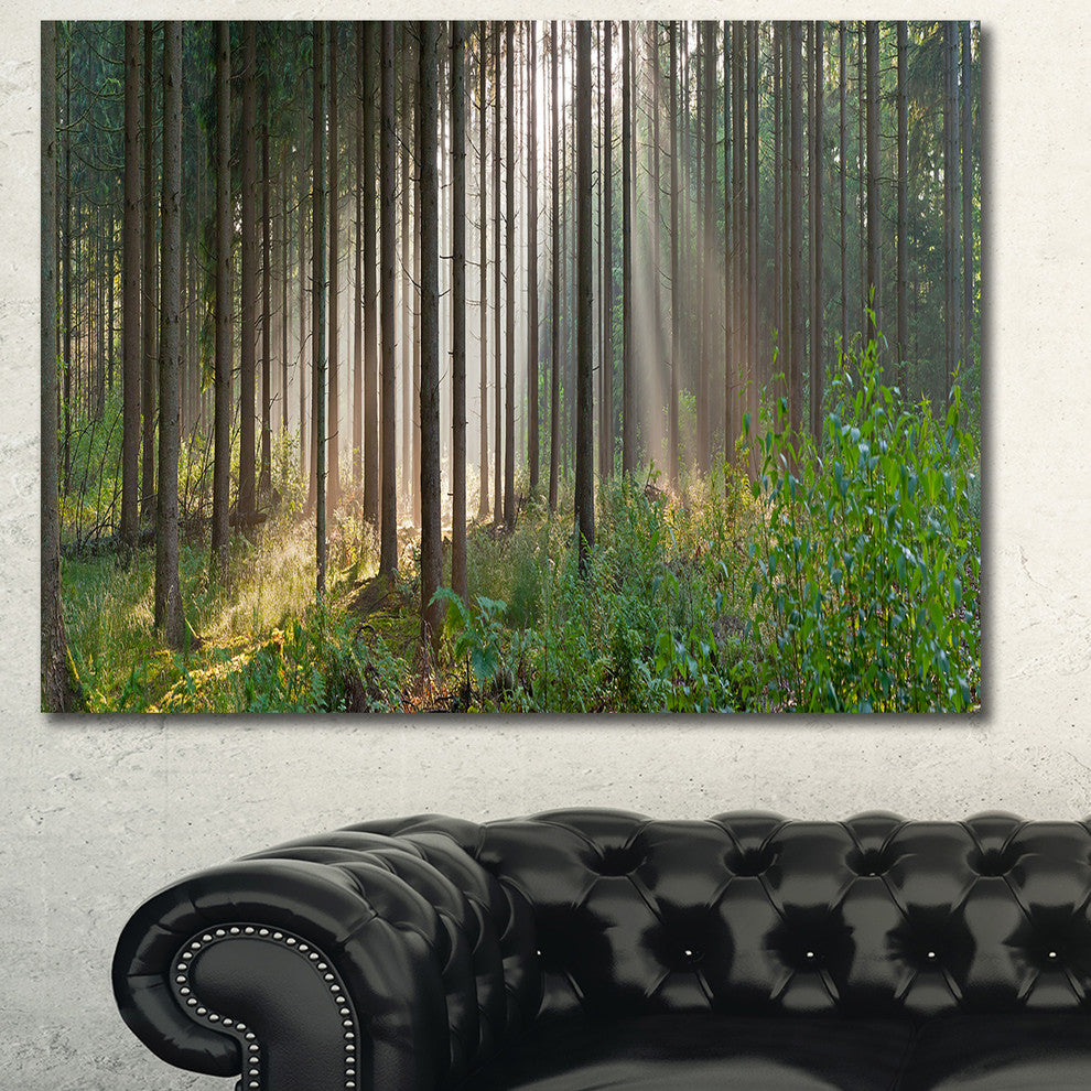 Green Forest in Mist Panorama, Large landscape Canvas Art Print, 60x40
