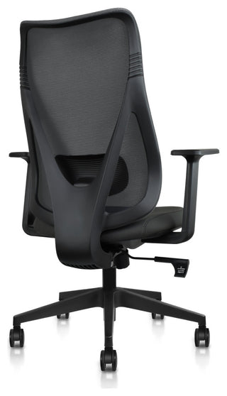 Ergonomic Office Desk Chair With Adjustable Lumbar High Mesh Back, Black