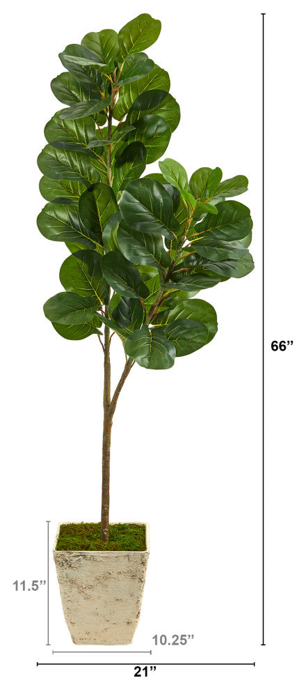 5.5' Fiddle leaf Fig Artificial Tree, Country White Planter