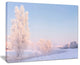 "White Crystal Tree And Landscape" Landscape Print Wall Art, 40"x30"