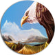 Eagle Flying In Sky, Digital Art Animal Disc Metal Wall Art, 11"