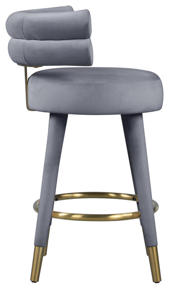 Fitzroy Velvet Upholstered Counter Height Stool (Set of 2)