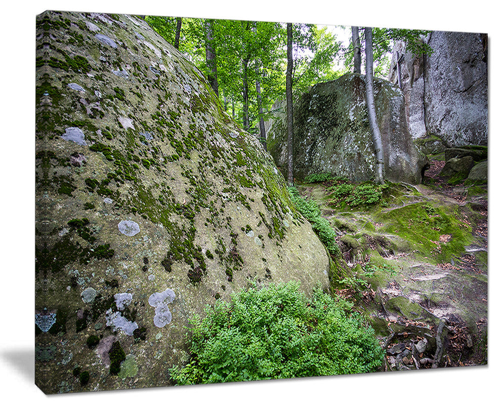 "Rocky Deep Moss Forest Ukraine" Landscape Art Print Canvas, 20"x12"