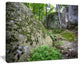 "Rocky Deep Moss Forest Ukraine" Landscape Art Print Canvas, 20"x12"
