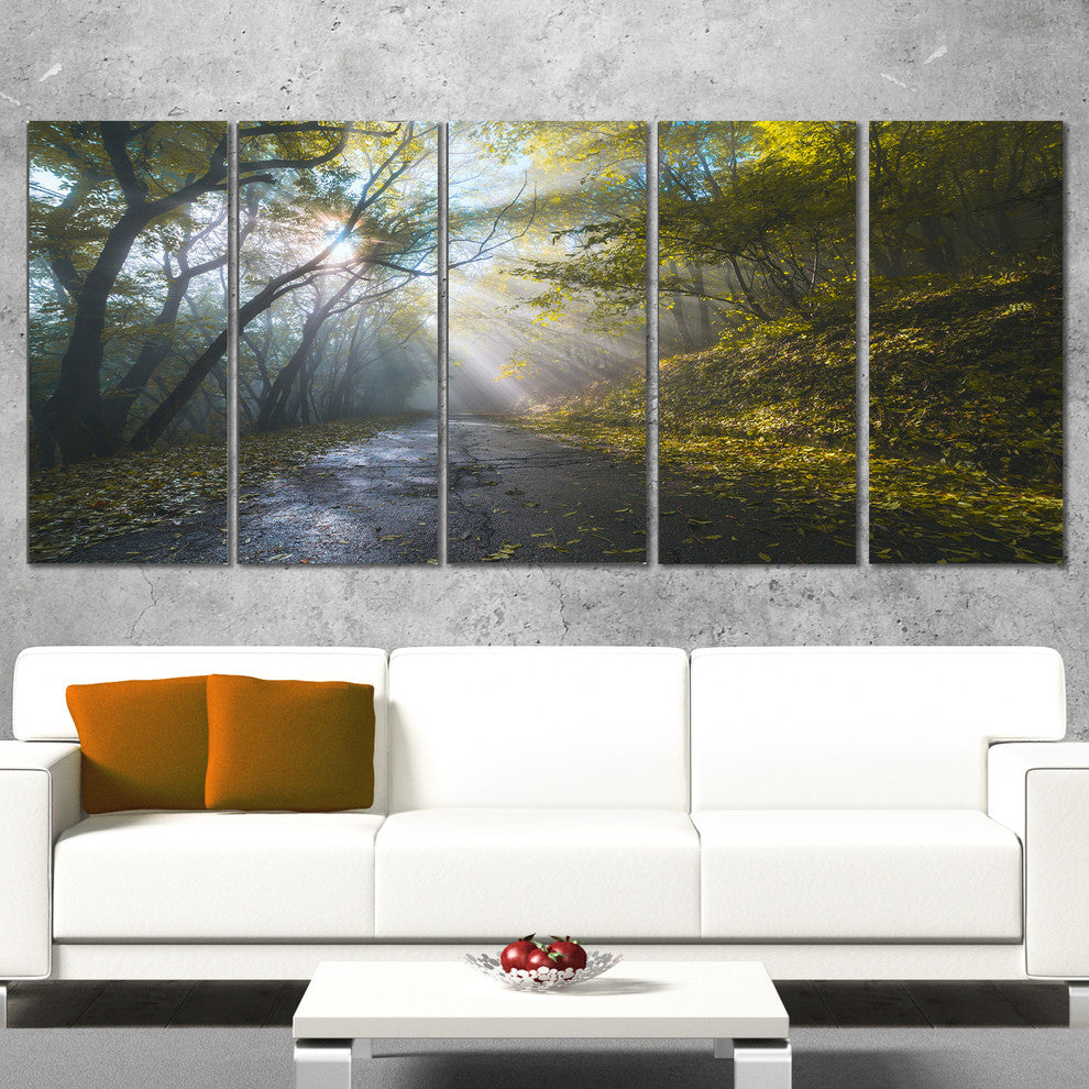 Road in Autumn Forest at Sunset, Large Landscape Canvas Print, 60"x28", 5 Panels