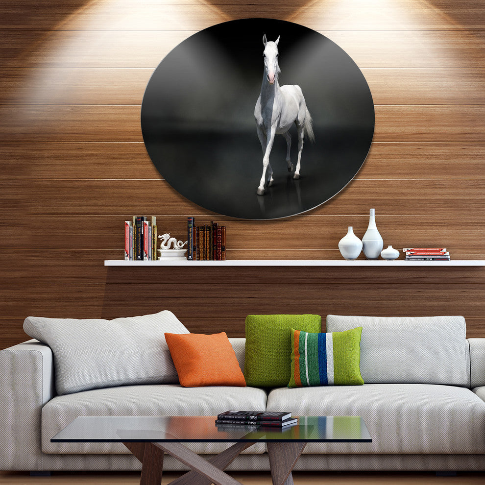 Isolated Black Horse On Black, Animal Disc Metal Wall Art, 11"
