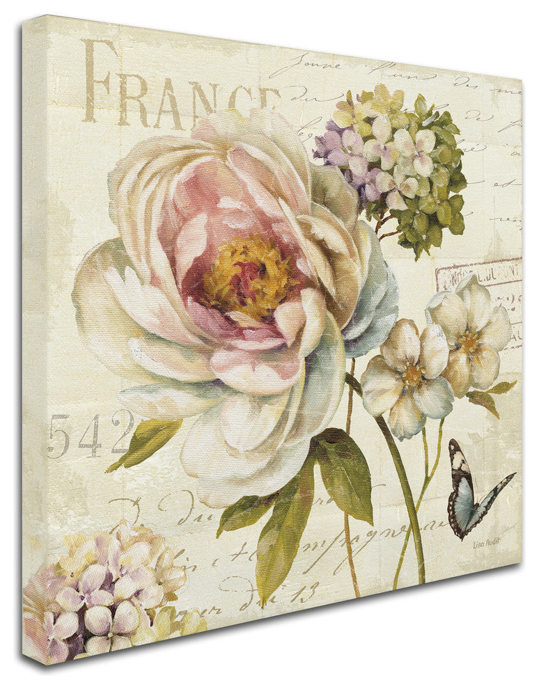 'Marche de Fleurs VI' Canvas Art by Lisa Audit