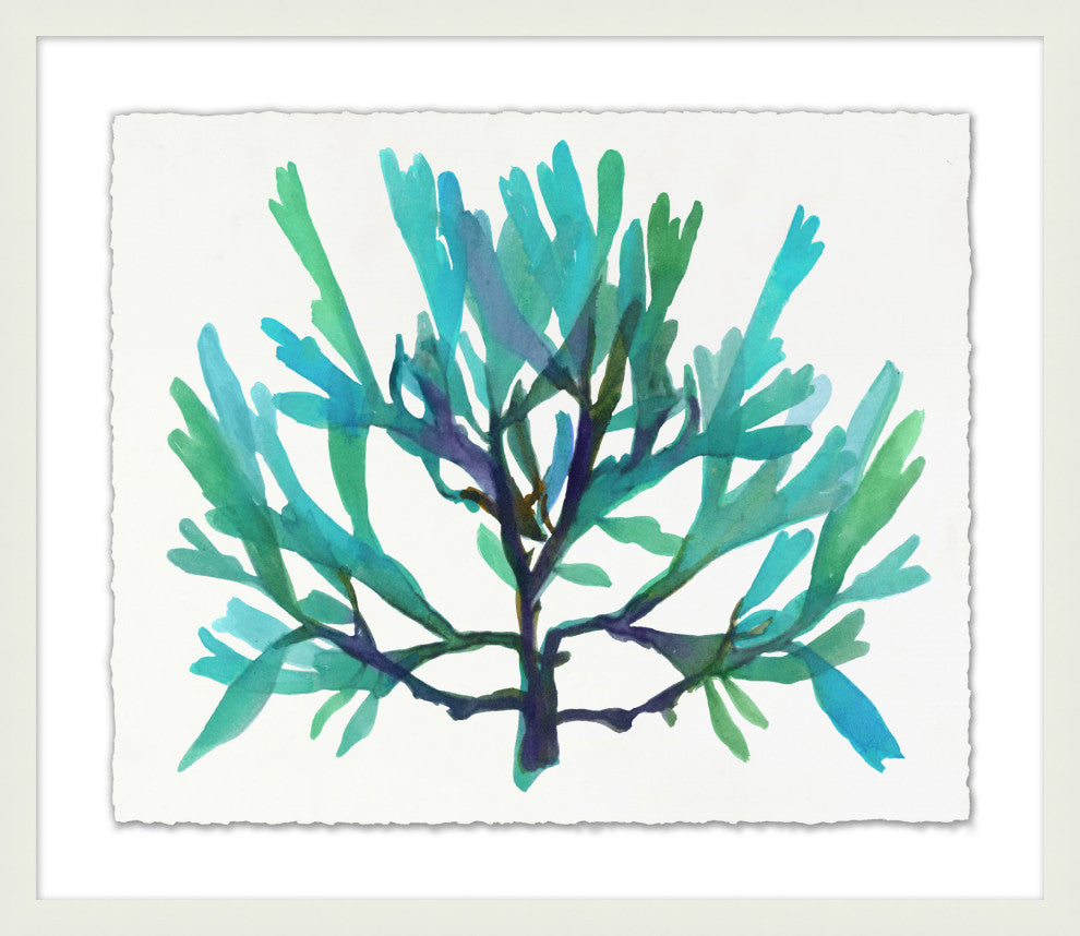 Transparaent Sea Life 4, Giclee Reproduction Artwork