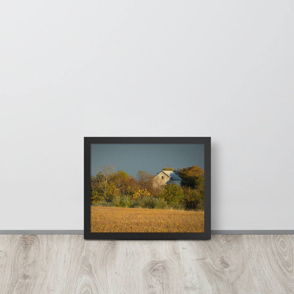 Abandoned Barn In The Trees Framed Photo Paper Wall Art Prints, Black, 11" X 14"
